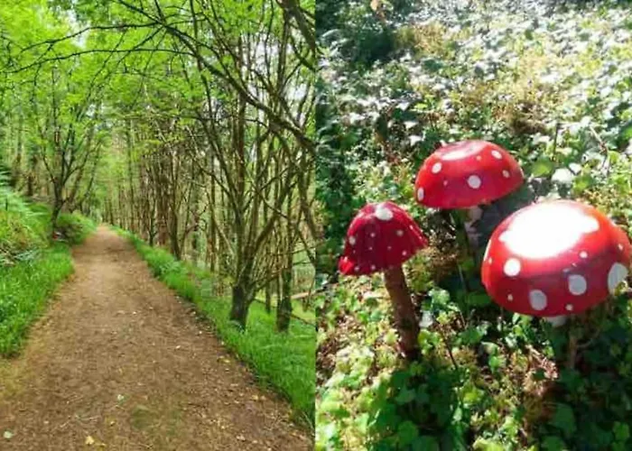 Nyaraló Cois Locha *